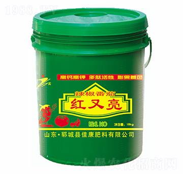 �������Ѽt����-�ѿ�