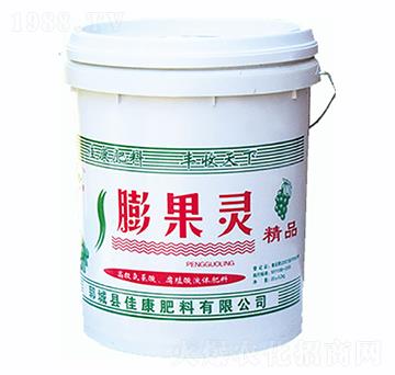 ����`-�ѿ�