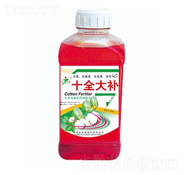 �޻�ʮȫ���a-�ѿ�