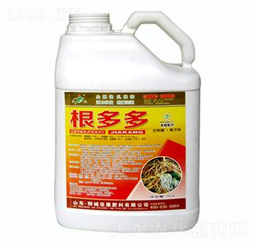 �����-�ѿ�