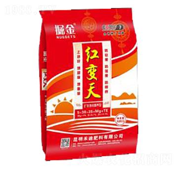 ���t׃��-�̵�