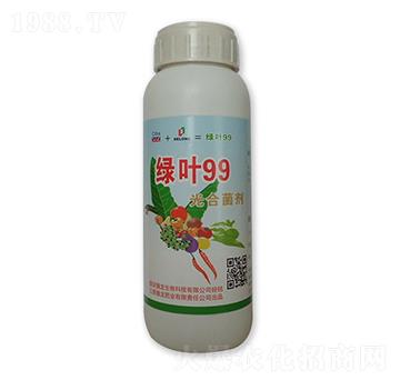 �G�~99��Ͼ���-����