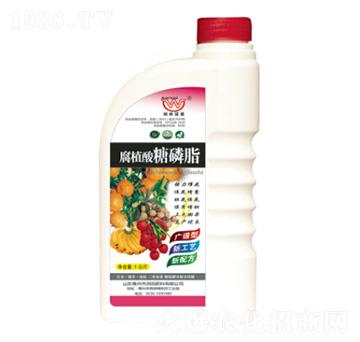 ��ֲ������֬-�������