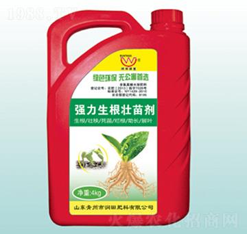 Ͱ�b�����������焩-��