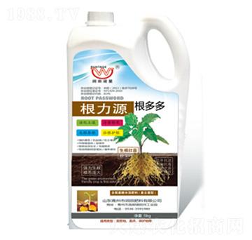 ����Դ-�����-�����