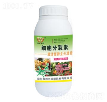 ƿ�b����������-�����