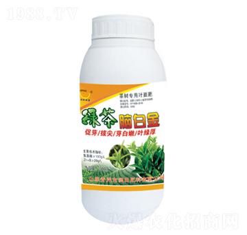 �G���X�׽�-�������