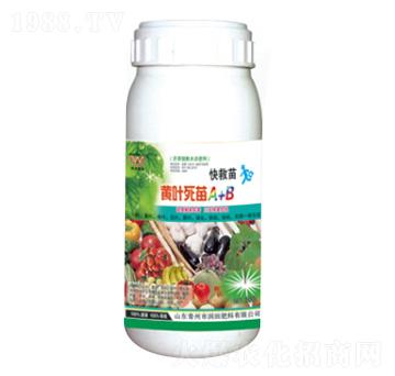 �S�~����A+B-�����