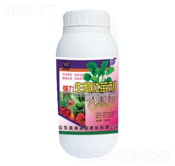 ƿ�b�����������焩-��