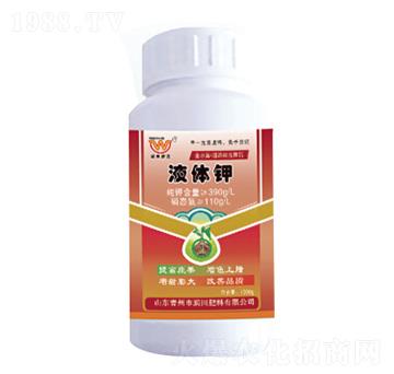 Һ�w�-�������