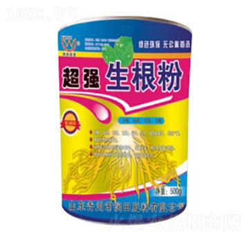 ����������-�������