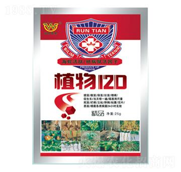 ֲ��120-�������