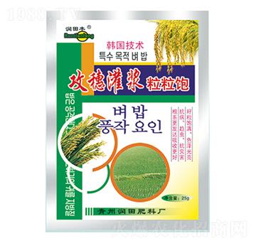 ������{�����-�������