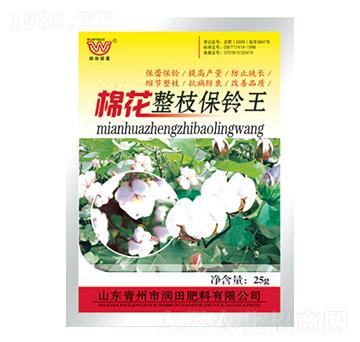 �޻���֦�����-�������