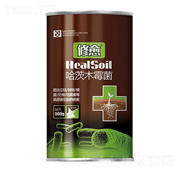 ����ľù��-����-���S��