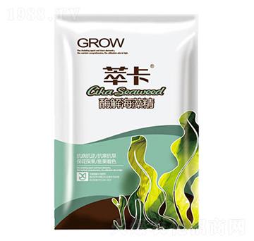 ø�⺣�徫-�Ϳ�-���S��