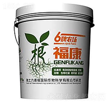 ������-������