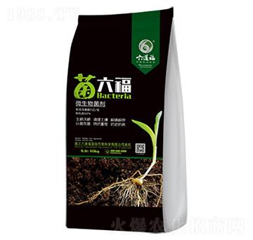 ΢�������-������-��