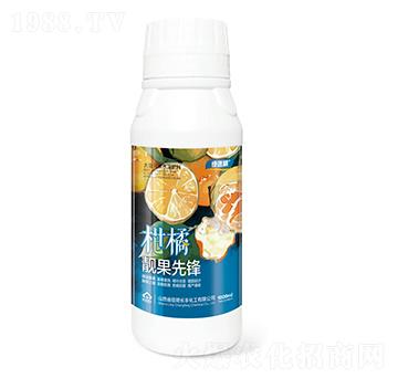 �����n�����h�G����-�L(zh��ng)�S����