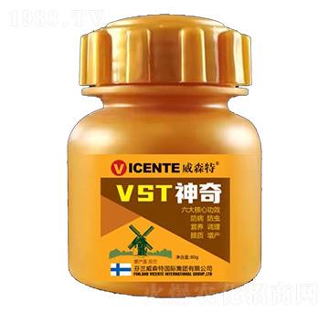 VST����-��ؐ��