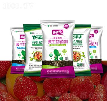 ���S�����ЙC��-�����S