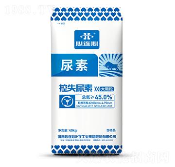 ��ʧ����-���B��