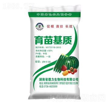 �߹�������|(zh��)-��������