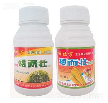 ������-�����f-�峣