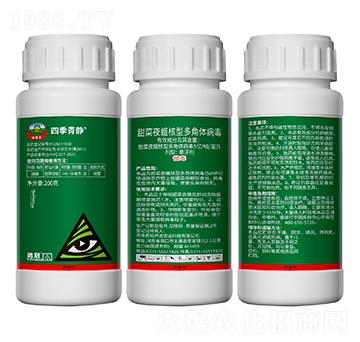 ���ҹ����Ͷ���w����-�ļ����o-�¹چ̵�