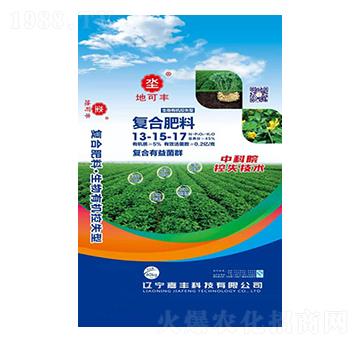 ���׌��ÏͺϷ���13-