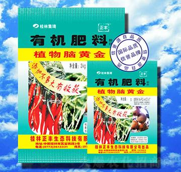 �ЙC����-ֲ���X�S��-���S���B(t��i)