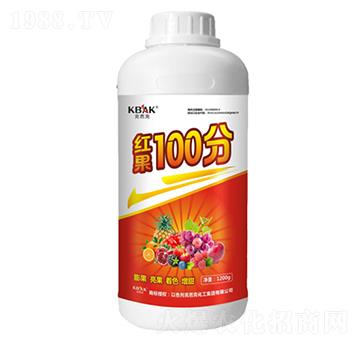 �t��100��-�˰ſ�