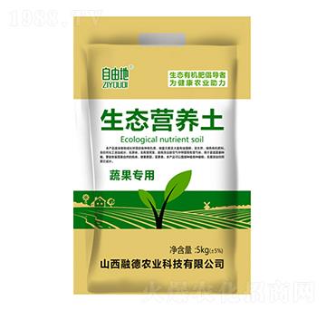 �߹��������B(t��i)�I�B(y��ng)��-���ɵ�-�ڵ��r�I(y��)