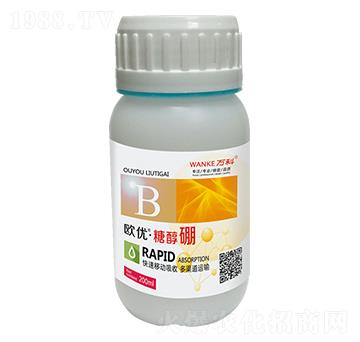 �W��(y��u)���Ǵ���-�f��