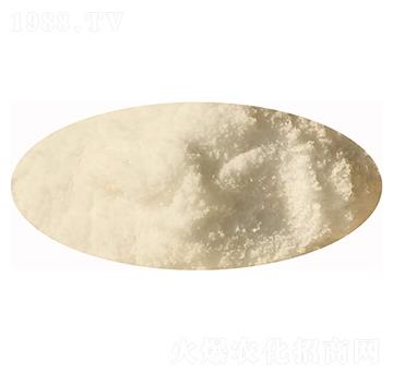 ��������-�l(f��)ؔ��