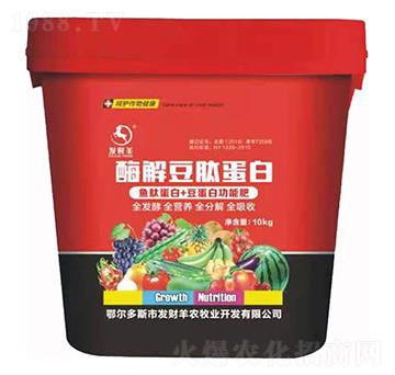 ø�ⶹ�ĵ���-�l(f��)ؔ��