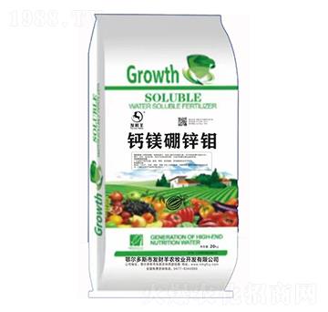 �}�V���\�f-�l(f��)ؔ��