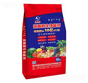 10�|��̼ø΢�������-�l(f��)ؔ��