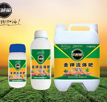 ��������⛽�����w��-������