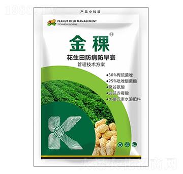 �������������˥�������g(sh��)����-����-���ս�