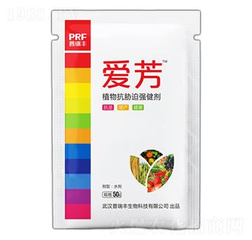 ֲ�￹�{�ȏ�����-�۷�-�����S