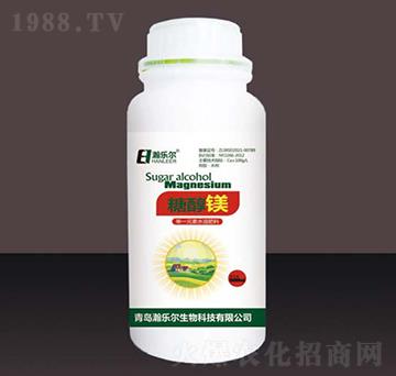 �Ǵ��V500ml-嫘���