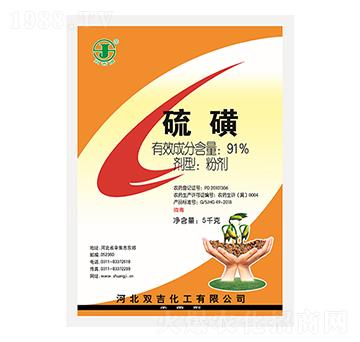 91%��Ƿۄ�-�p������