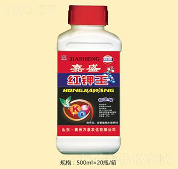 �˼�ʢ�t���-�fȪ�r��