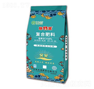 �����������\����(f��)�Ϸ���