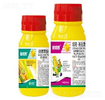 ����޲-���՘�(l��)