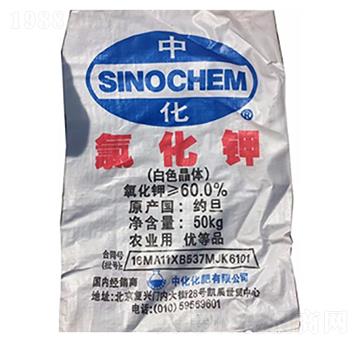 �s����⛣���ɫ���w��-¡���r�Y