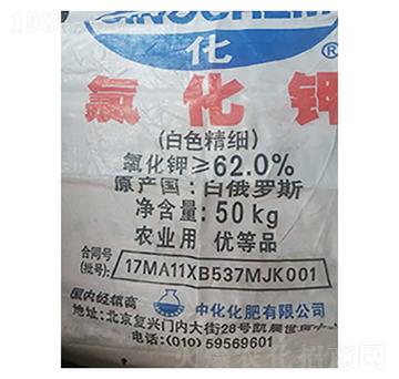 ���_˹��⛣���ɫ������-¡���r�Y