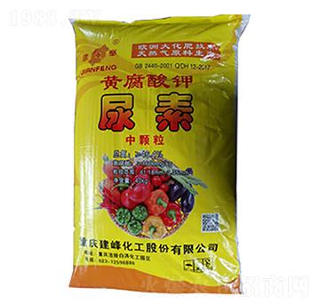 �������S���������-¡���r(n��ng)�Y