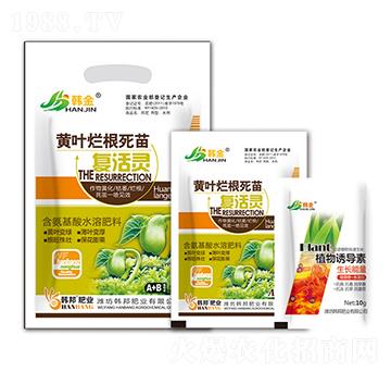 �S�~��������ͻ��`-�n